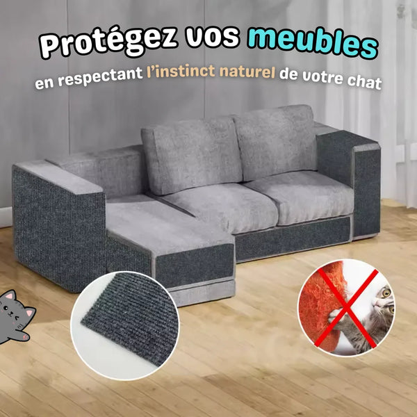 Protection Murale Anti-Griffes